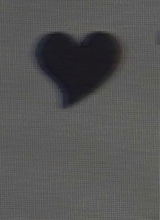 Guest_JoyceMartinez2