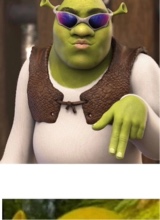 Guest_itsstupidally