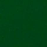 Guest_Diego168309