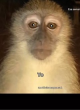 FernandaLuna7