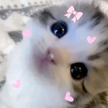 Guest_CandyHeartpamther