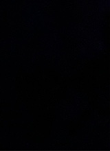 Guest_NAEE20456