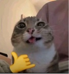 EUPHORlA