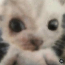 Guest_Emogirl151