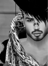Guest_Mike501273