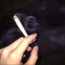 Guest_Anylove1