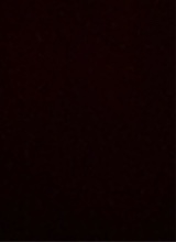 Guest_axcelmiguel1