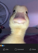 GOD728360
