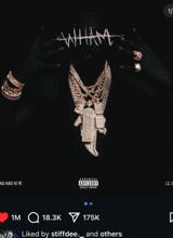 Guest_LilBaby694182
