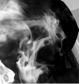 immagine avatar
