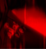 Guest_Lvsn1