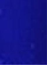 Guest_s3lfmadeDior0