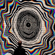immagine avatar