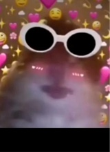 Guest_ryydf