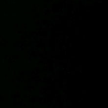 Guest_s521638
