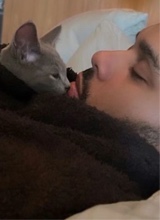 Guest_cruelcadmiumyellc330