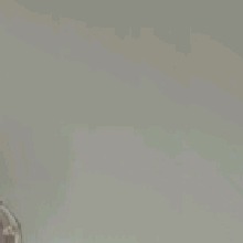 Guest_moyanovl111