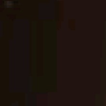 Guest_XhySh0x
