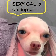 Guest_pweetyassassin