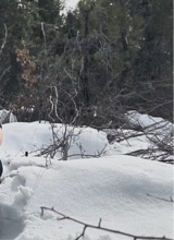 Guest_morgankeyser