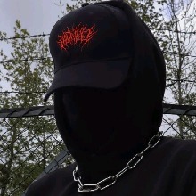 Guest_Formig