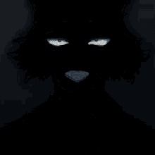 Guest_tooniitchad