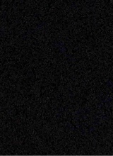 Guest_Ben10715261