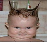 borvo