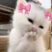 Guest_Brihea124