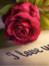 Guest_RicanNina