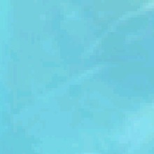 Guest_BLM190348