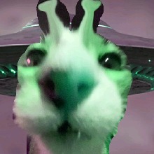 Guest_Matxd