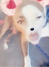 Guest_ffally