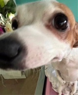 Guest_MimiSwingy