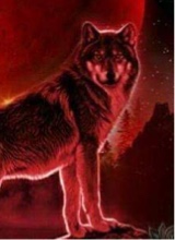 xToxicWolfx