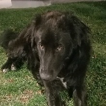 UlquiorraEternaal