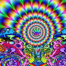 Guest_NulliSecundus1