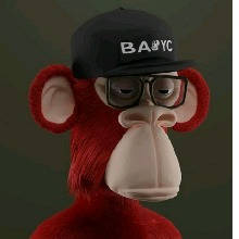 Guest_BrunoRafael
