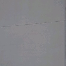 Guest_WatsaponJrnpk