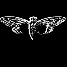 Guest_Tentacion112