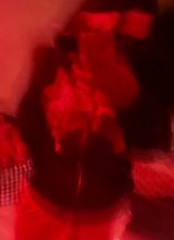 Guest_babyExodious