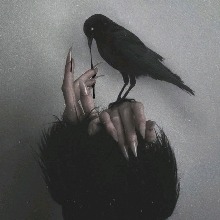 immagine avatar