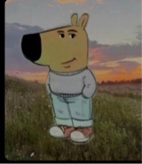 immagine avatar