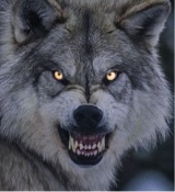 Guest_frankwest9