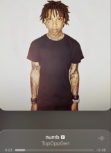 avpic