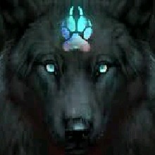 Guest_DarkToxicWolfQueen