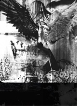Guest_ashes1001