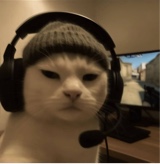 Guest_SandroZS