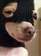 kelo2real