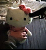 Guest_kitty482557